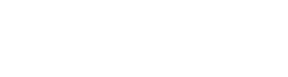 ace europe logo